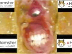 Lựa chọn các secdit hình ảnh trong miệng với cô gái nga